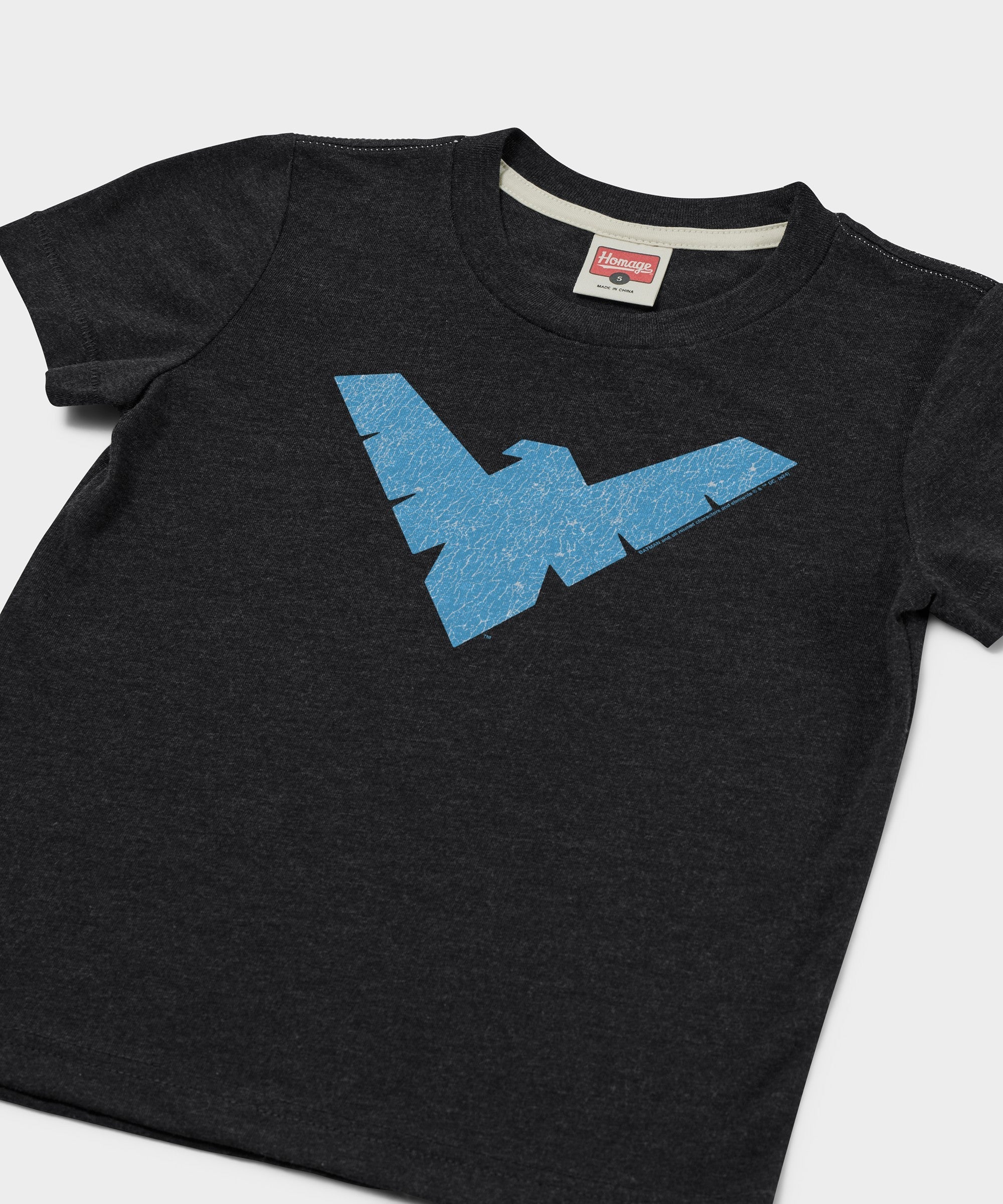 Youth Nightwing Logo