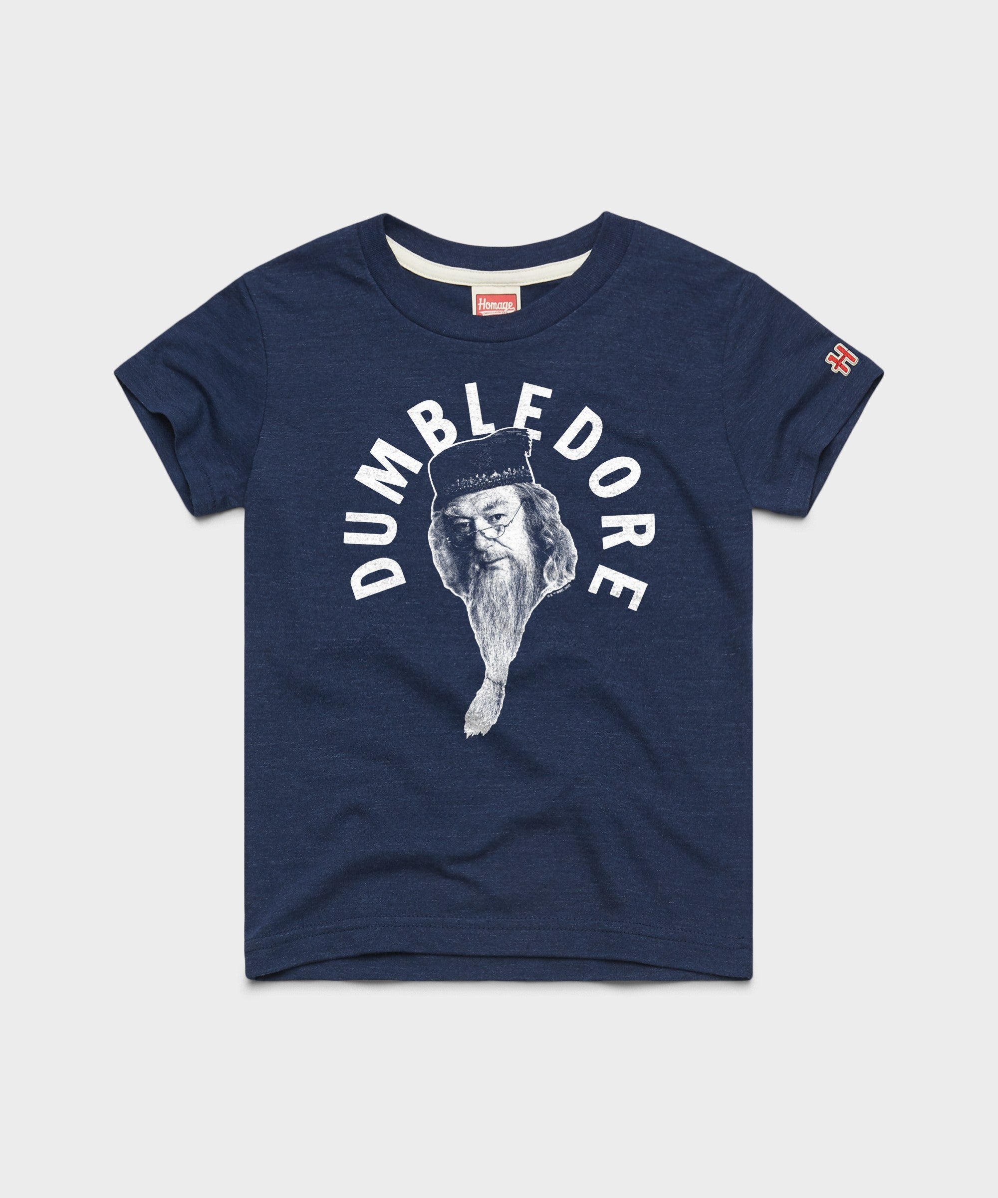 Youth Professor Dumbledore