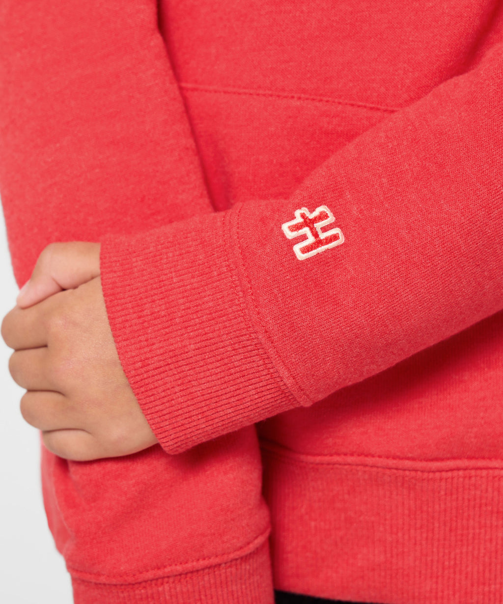 Youth Tennessee Titans Classic Hoodie