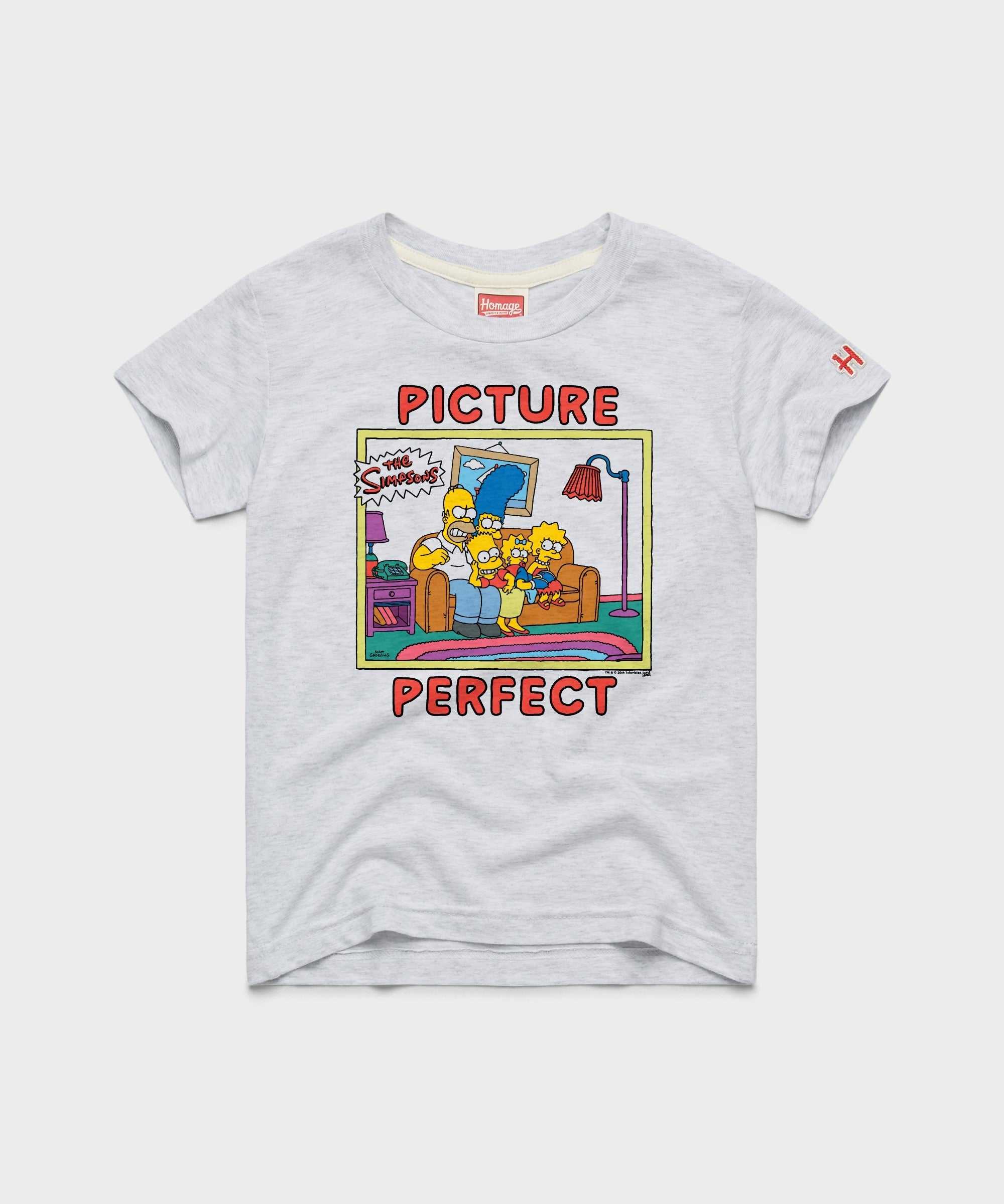 Youth The Simpsons Picture Perfect