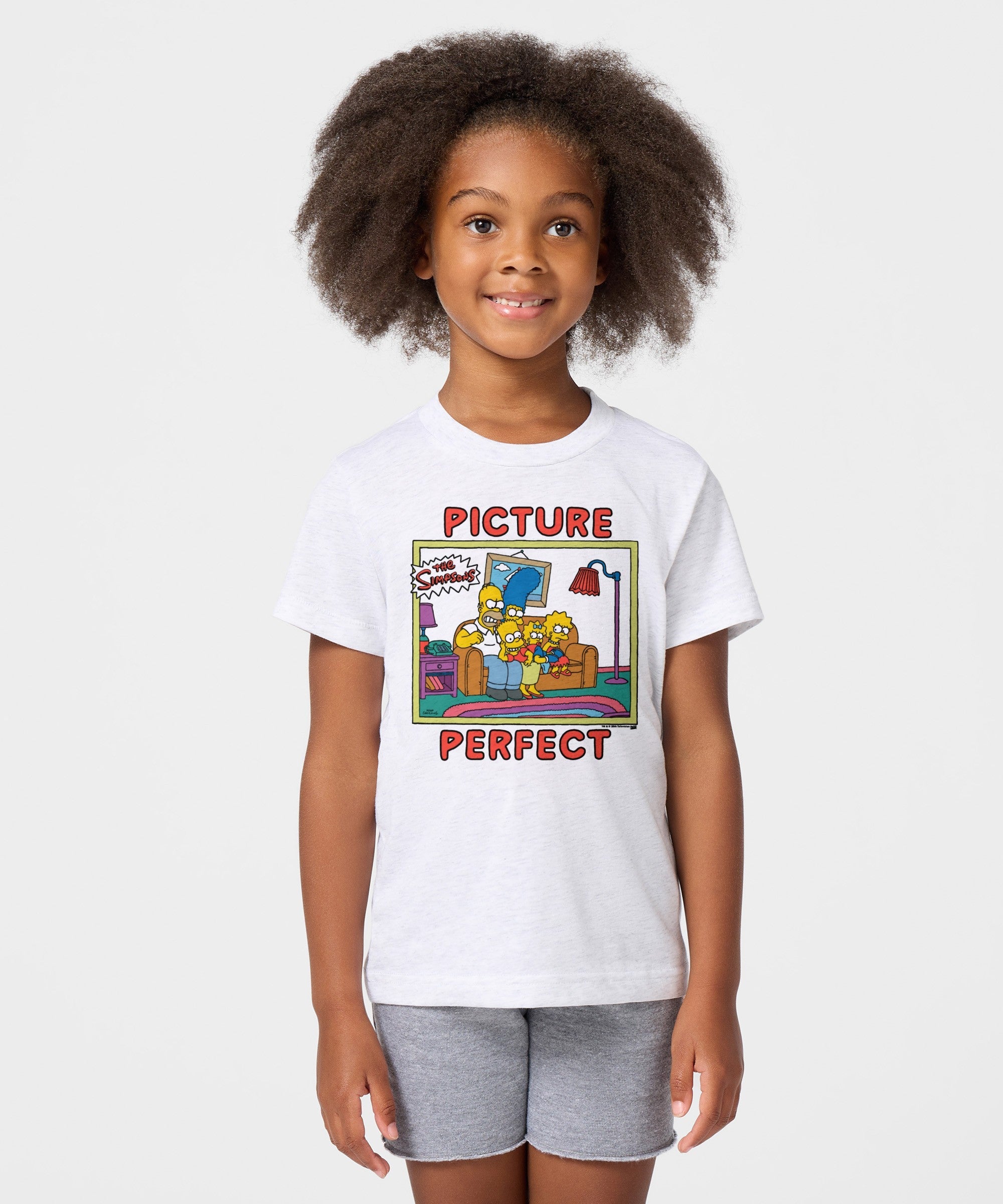 Youth The Simpsons Picture Perfect
