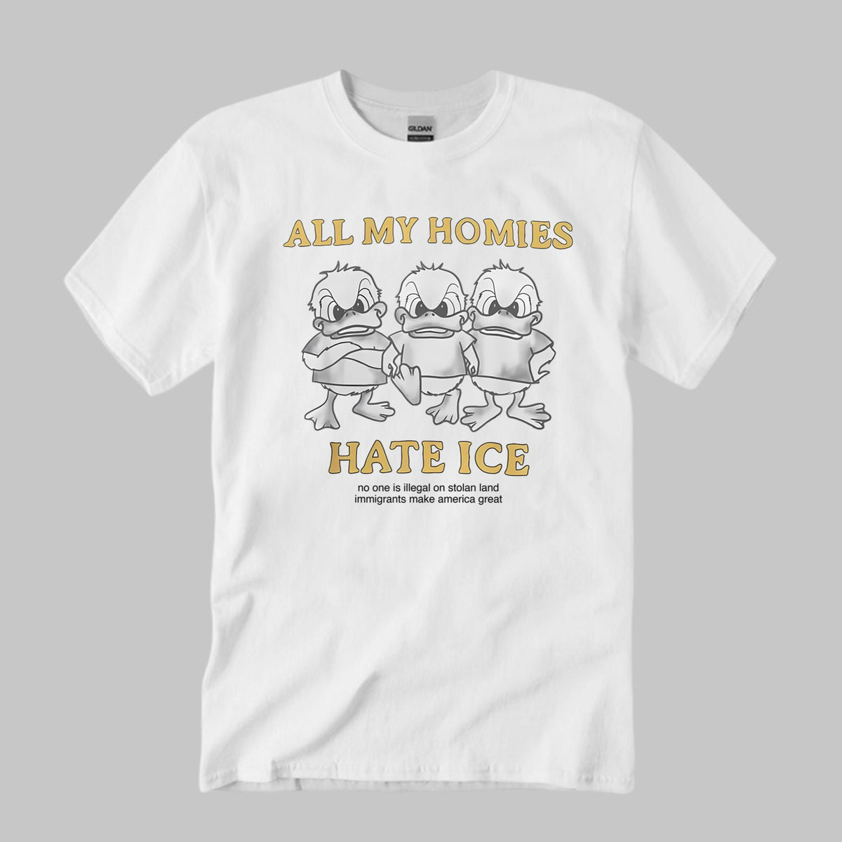 Zayn Malik All My Homies Hate ICE Shirt