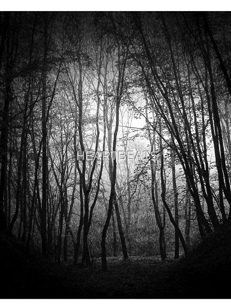 Deep Forest by HEARTBEATS