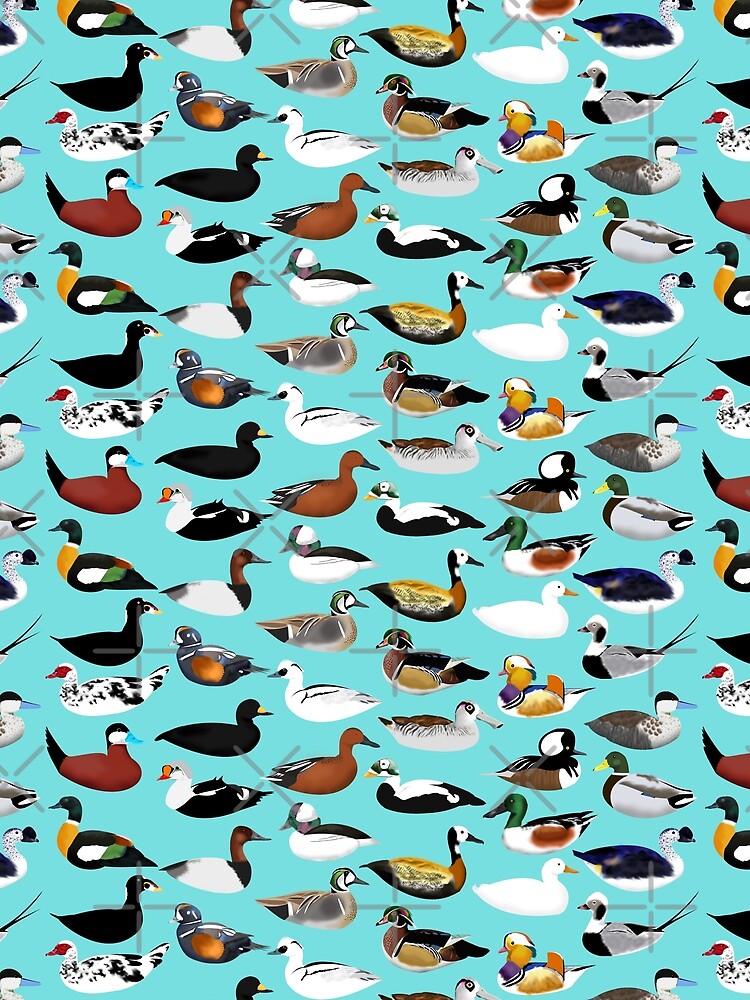 Duck Duck by Mattfields