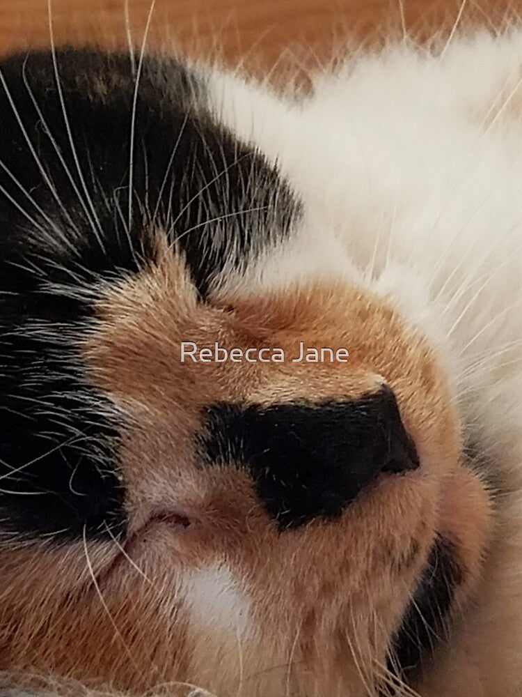 Sleeping Calico by Rebecca Jane