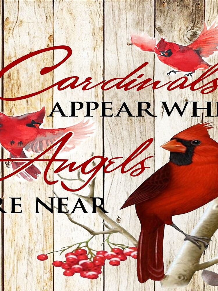 Cardinals Appear When Angels Are Near by christinecather