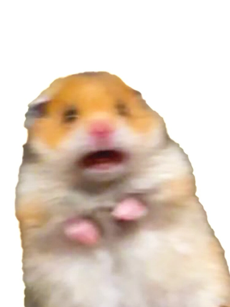 Scared hamster meme by HelpMePayRent