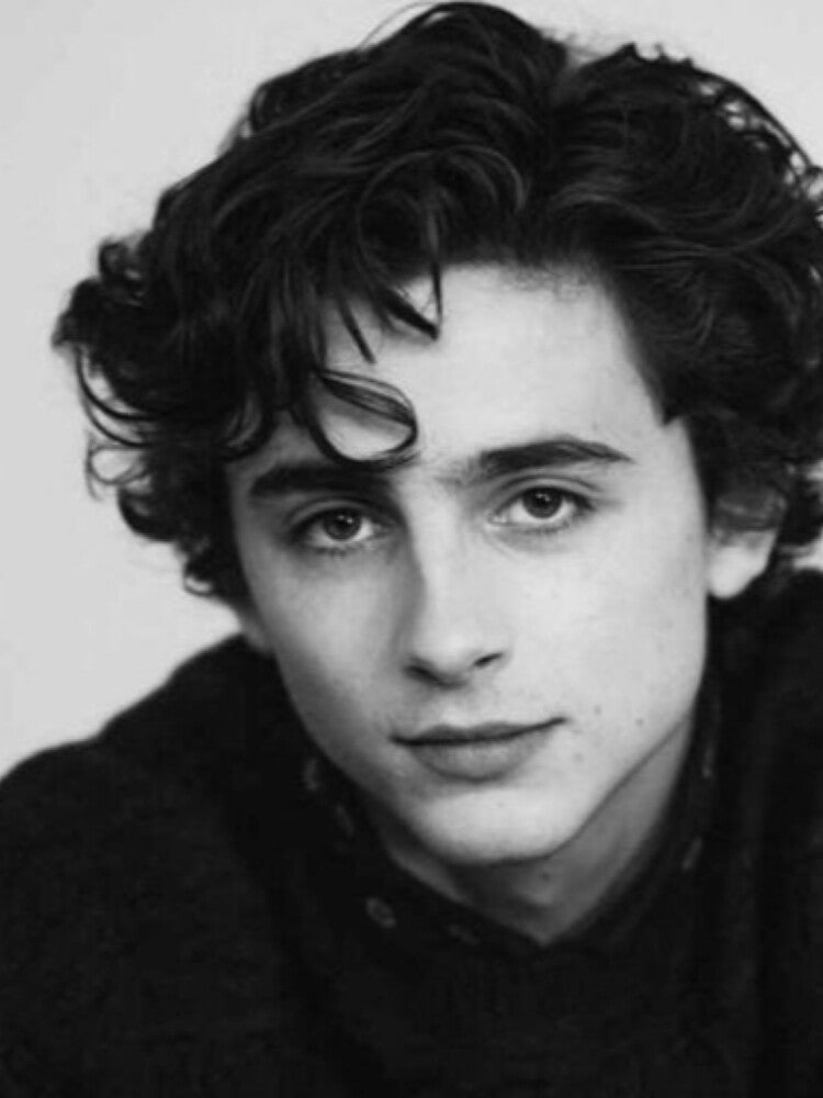 TIMOTHEE CHALAMET by kallielyseng