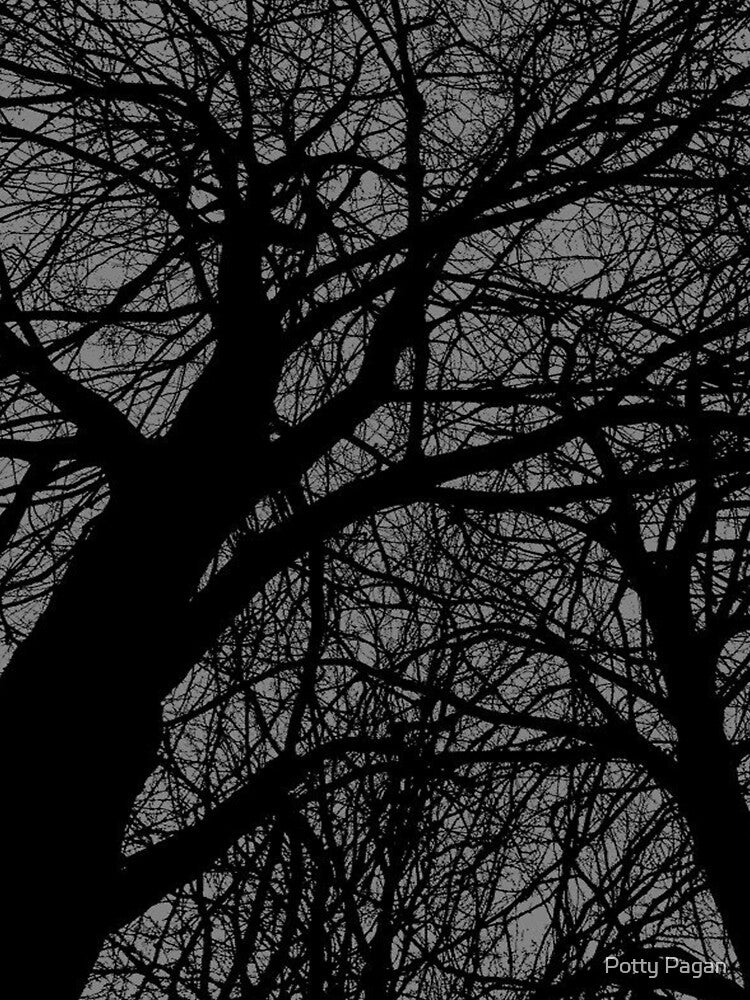 monochrome trees by Potty Pagan