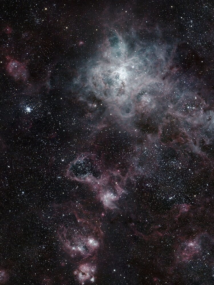 The Tarantula Nebula by WonkyAstroPrint