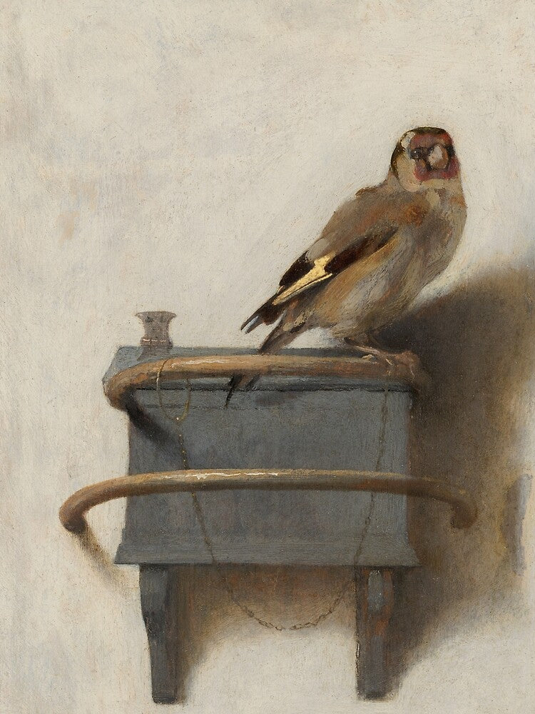 The Goldfinch (High Resolution), Carel Fabritius by Rolodex