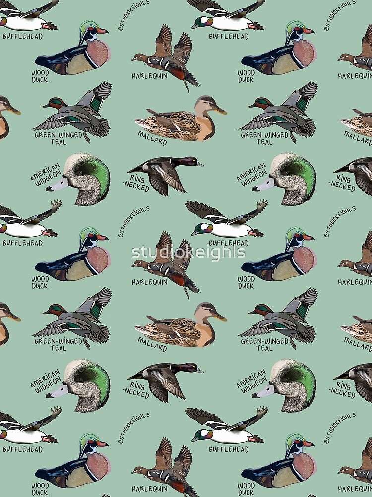 Ducks on Ducks by studiokeighls