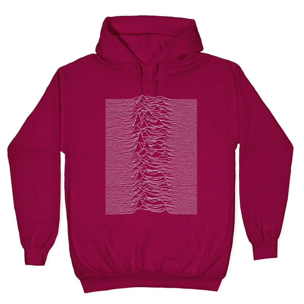 Joy Division Hoodie