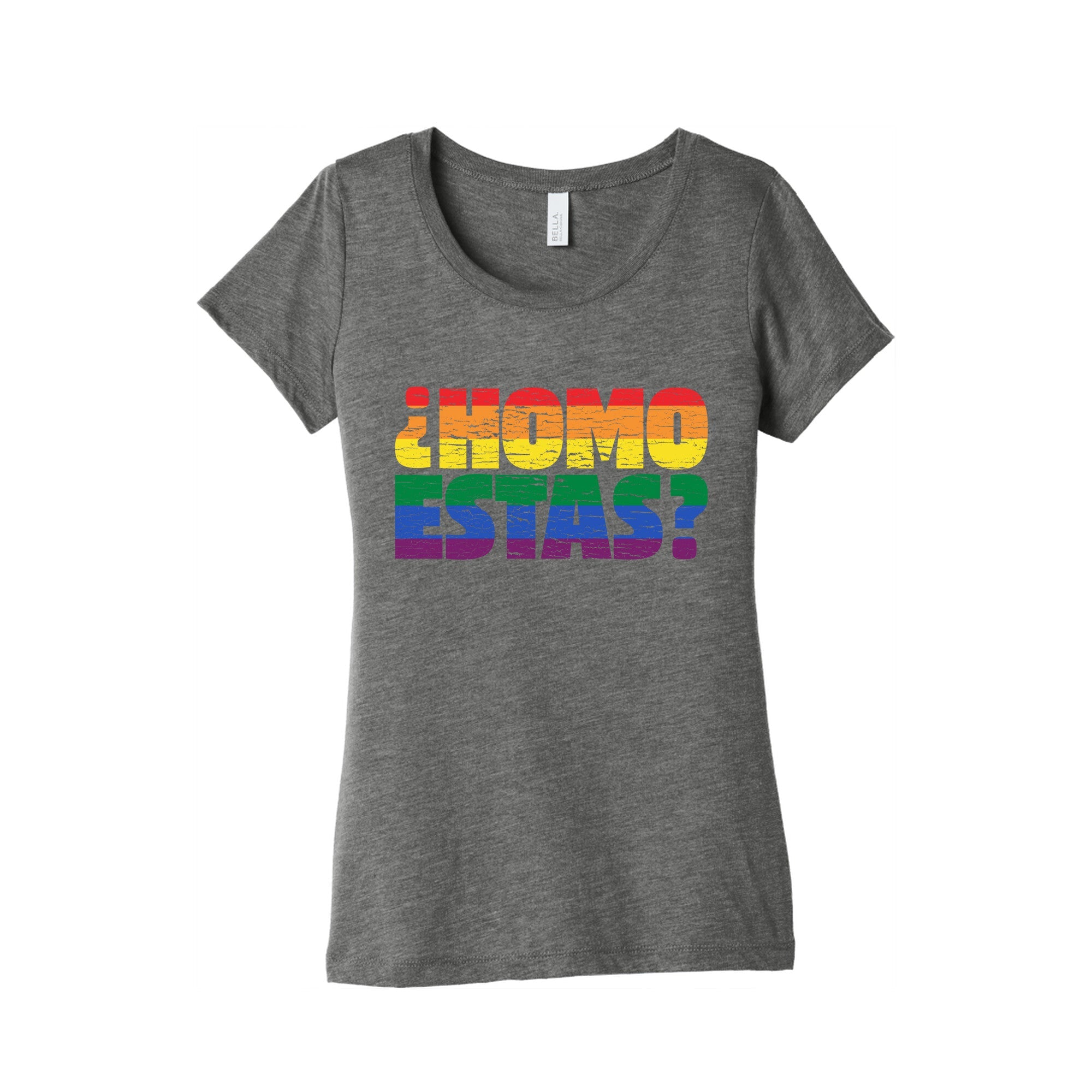 Homo Estas Womens Triblend Tee