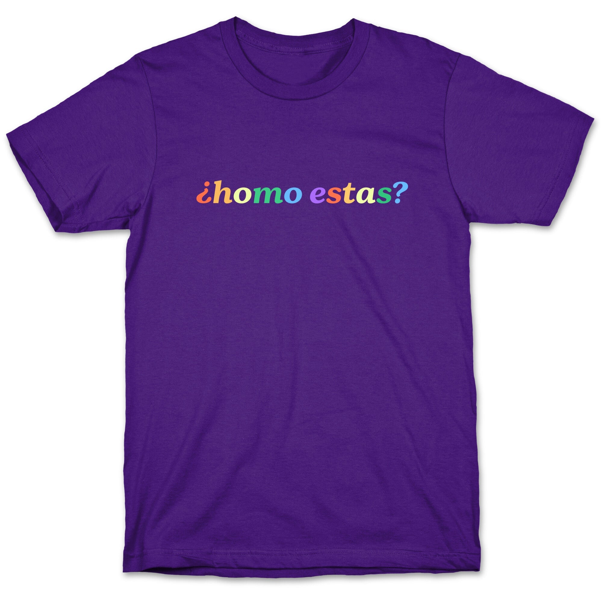 Homo Estas Rainbow T-Shirt