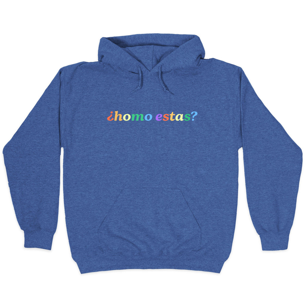 Homo Estas Rainbow Hoodie