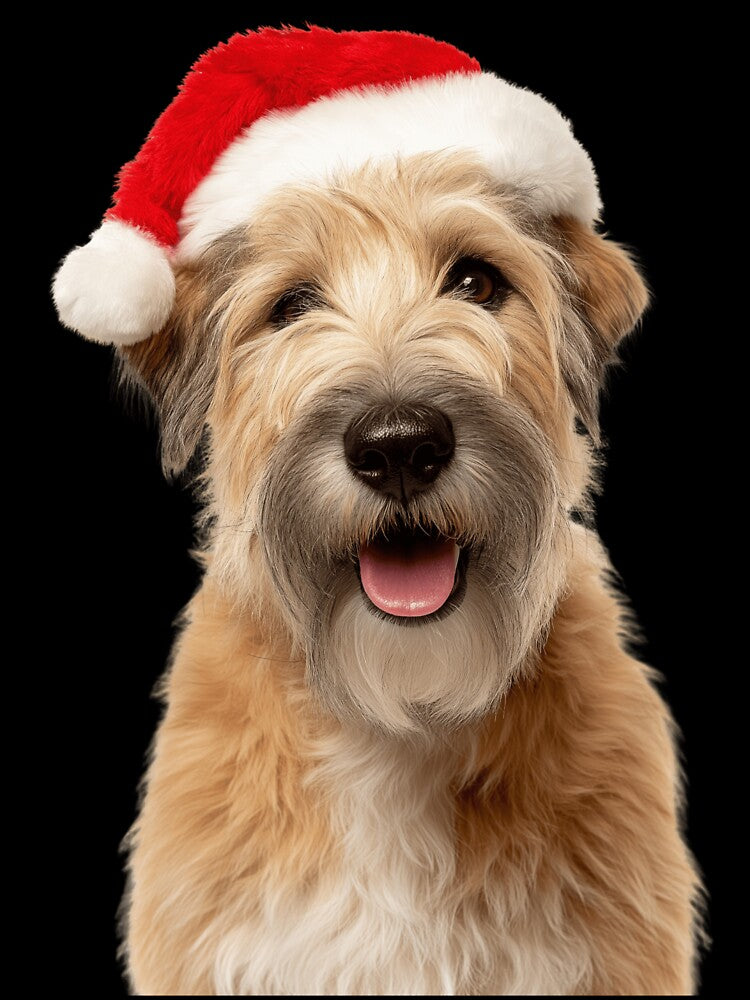 Soft Coated Wheaten Terrier with Christmas Hat – Festive Wheatie dog Xmas Design by LazyOwlStore