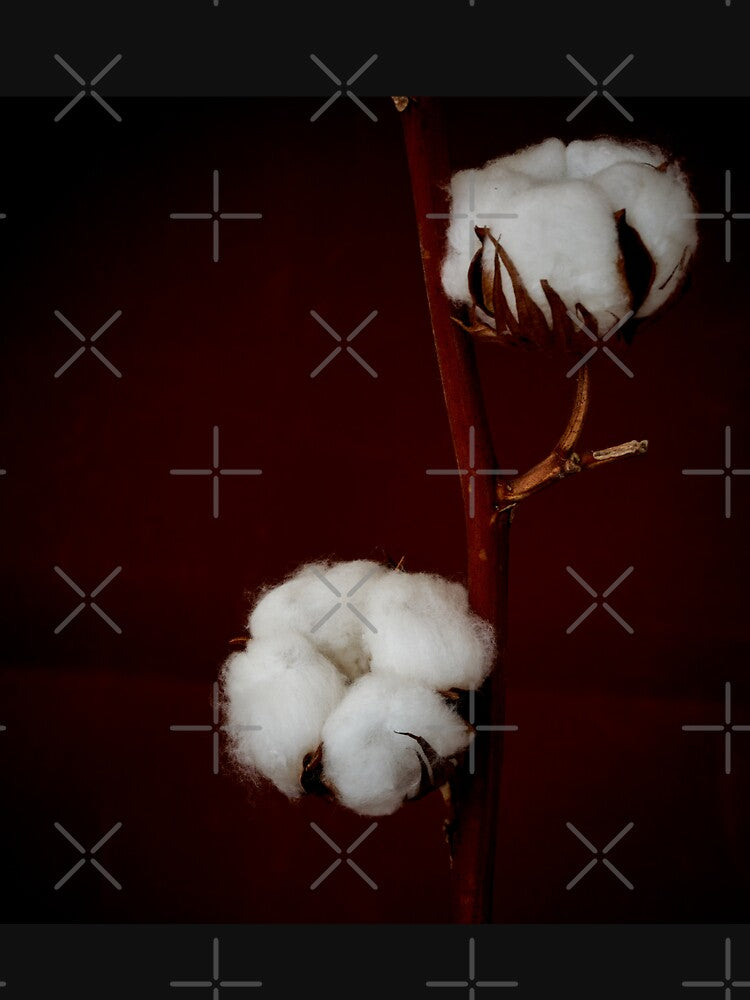 cotton flowers by IgorKovalenko