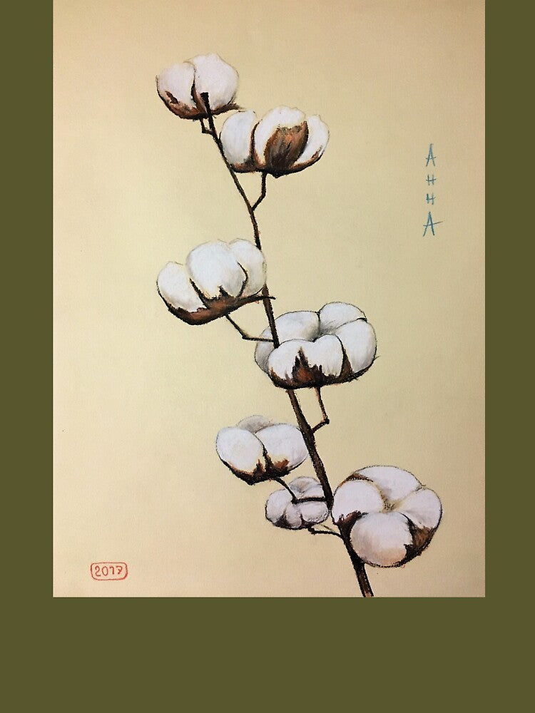 Cotton, cotton blooming, cotton flower by Ranisha