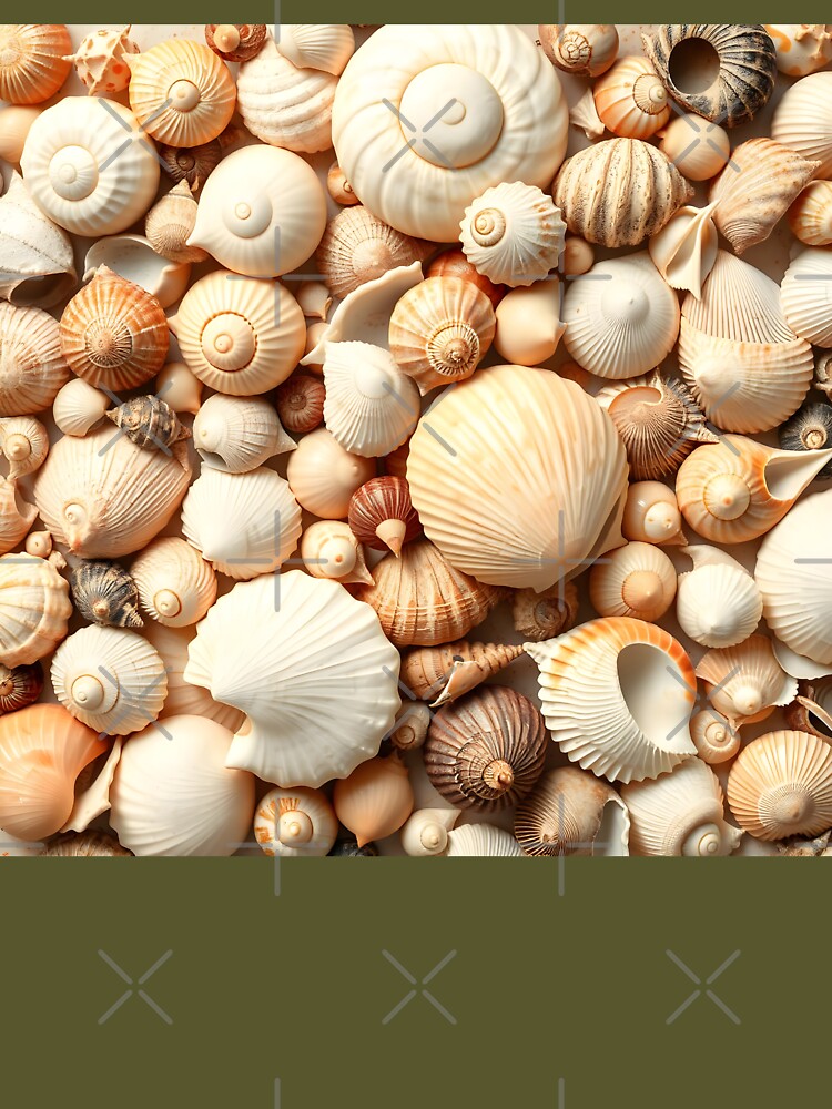 Shells 4 by HebaRK