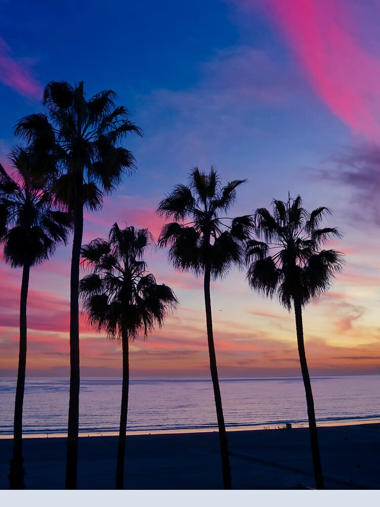 Cotton Candy Pink Palm Tree Ocean Sunset by newburyboutique
