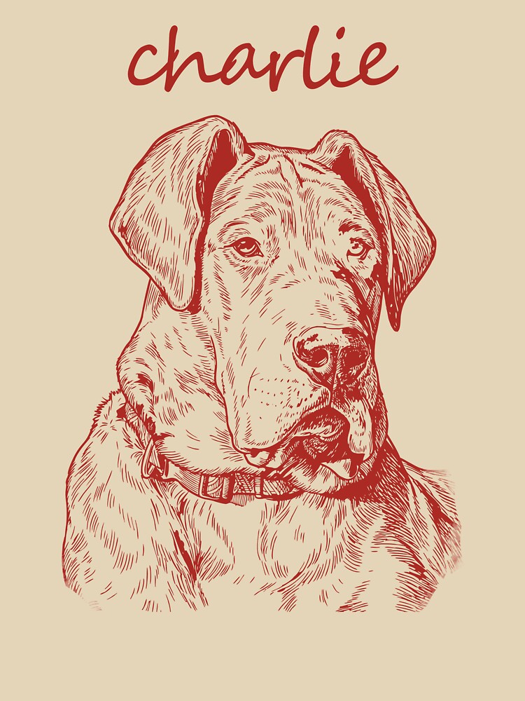 Custom Pet Shirt Pet Photo + Name Custom Dog Shirt Personalized Dog Shirt Custom Dog T Shirts for Humans Custom Cat Shirt for Dog Mom or Dad | biswap303@gmail.com by B CRATES