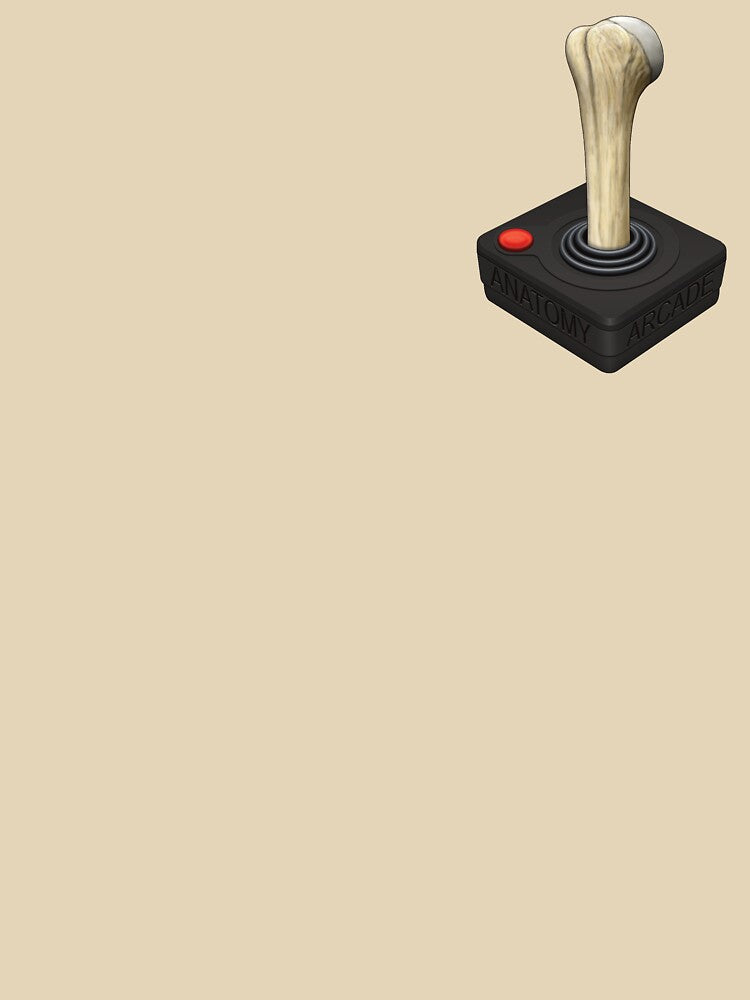 Anatomy Arcade Joystick by Anatomy Arcade