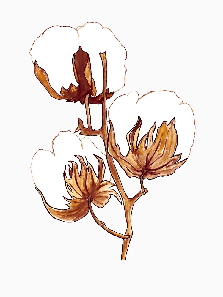 Cotton Watercolor Painting by DeLislesRT