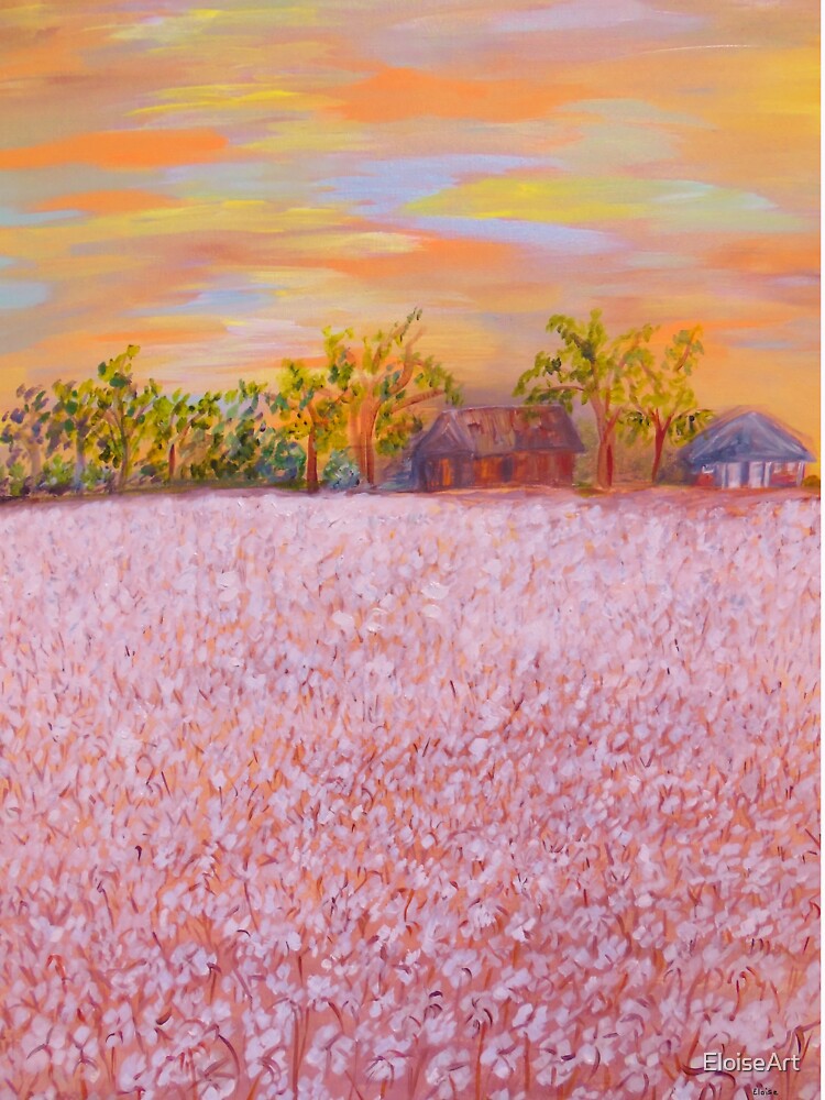 Cotton at Sunset by EloiseArt