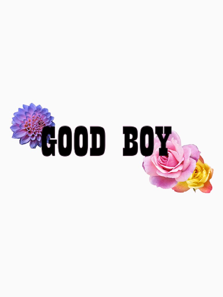 Good Boy (Transparent) by Hallagay