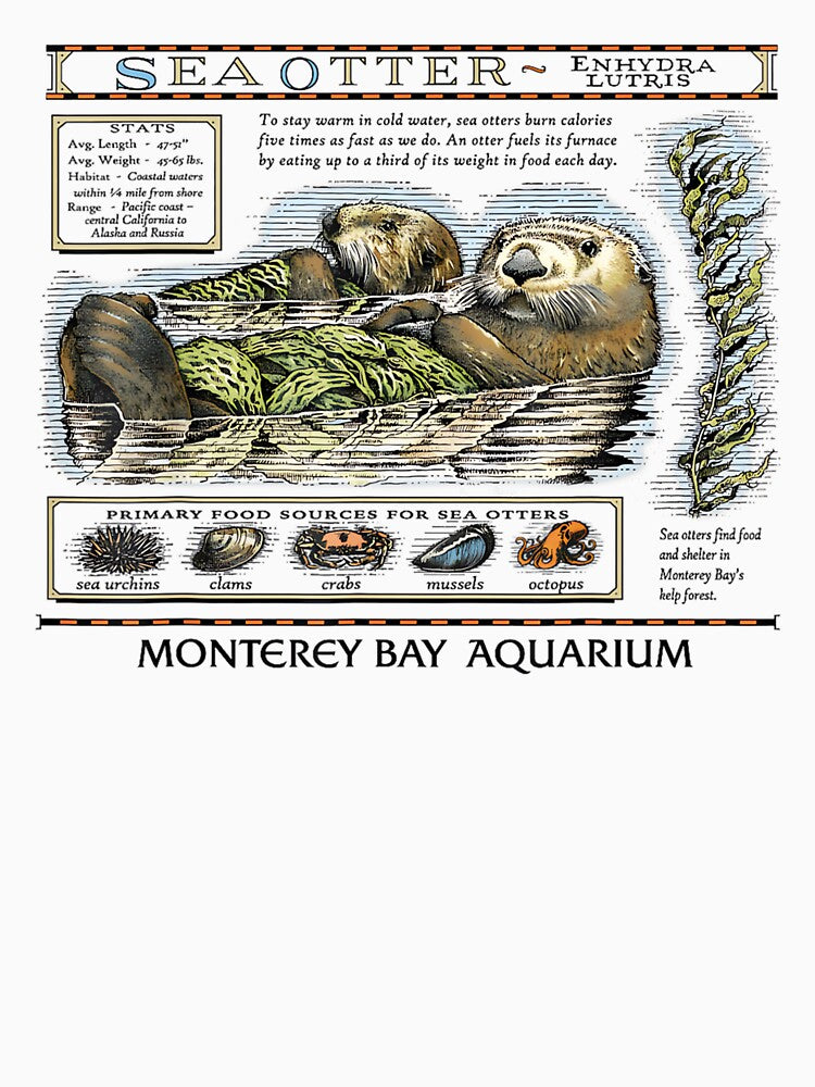 Vintage Sea Otters by CosmicCirrus