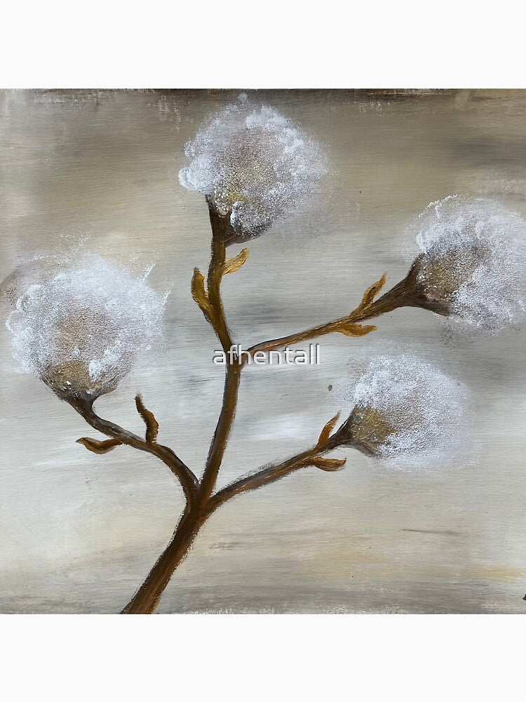 Cotton flower by afhentall