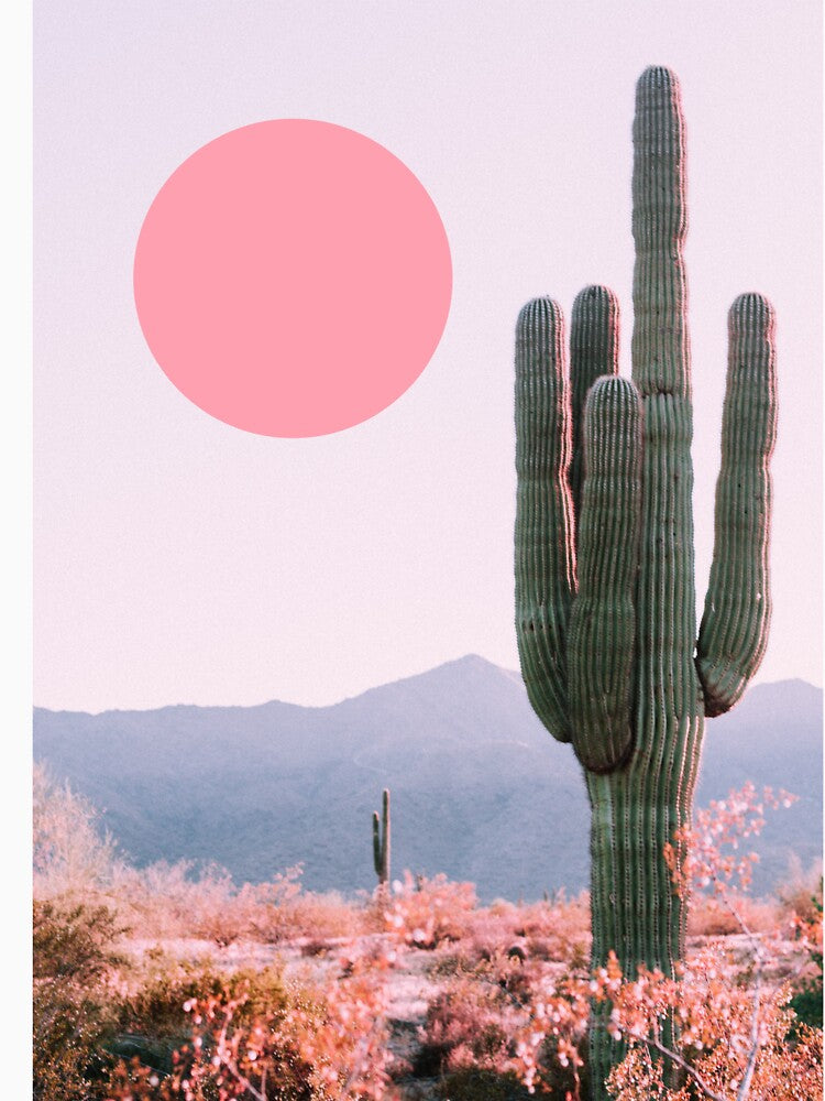 Cactus pink sun retro by ESCAPZ