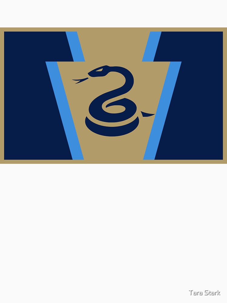 Philly Soccer Keystone Flag by Tara Stark