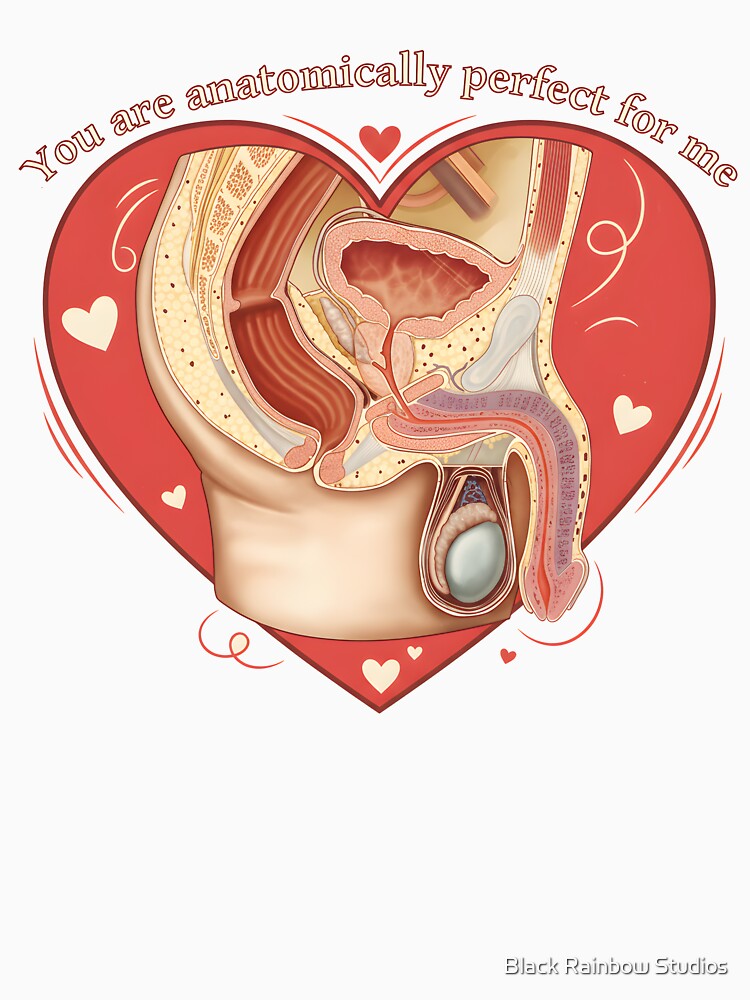 Anatomically Perfect by Black Rainbow Studios