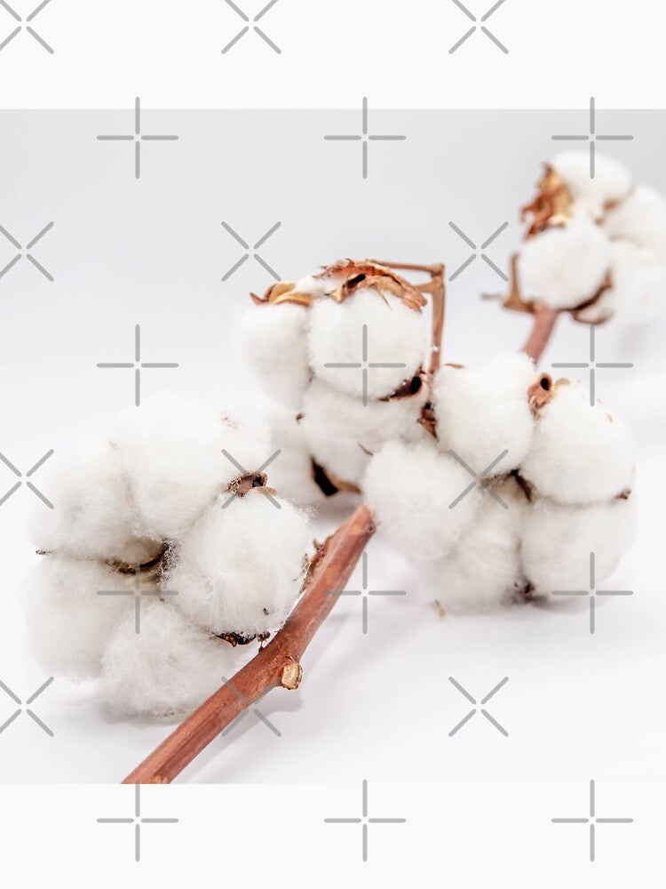 cotton flowers on a branch by nataliavavilina