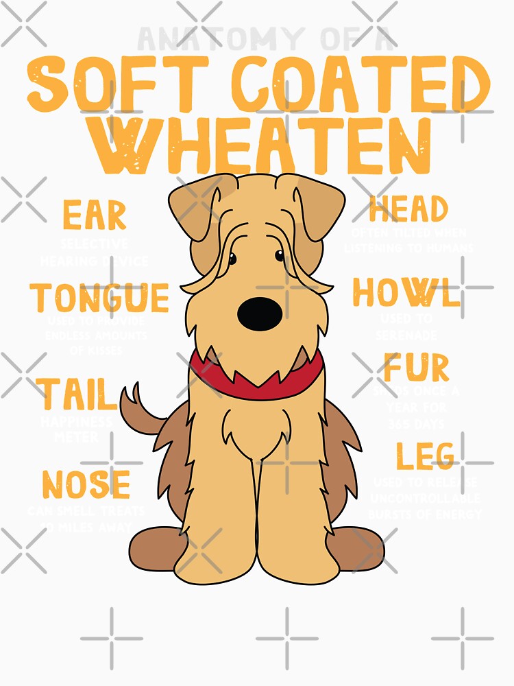 Anatomy of Soft coated wheaten Dog by rafaeltto