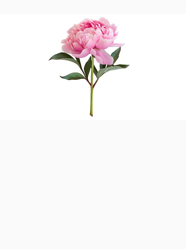 Italian peony by FLORASIO.OFF