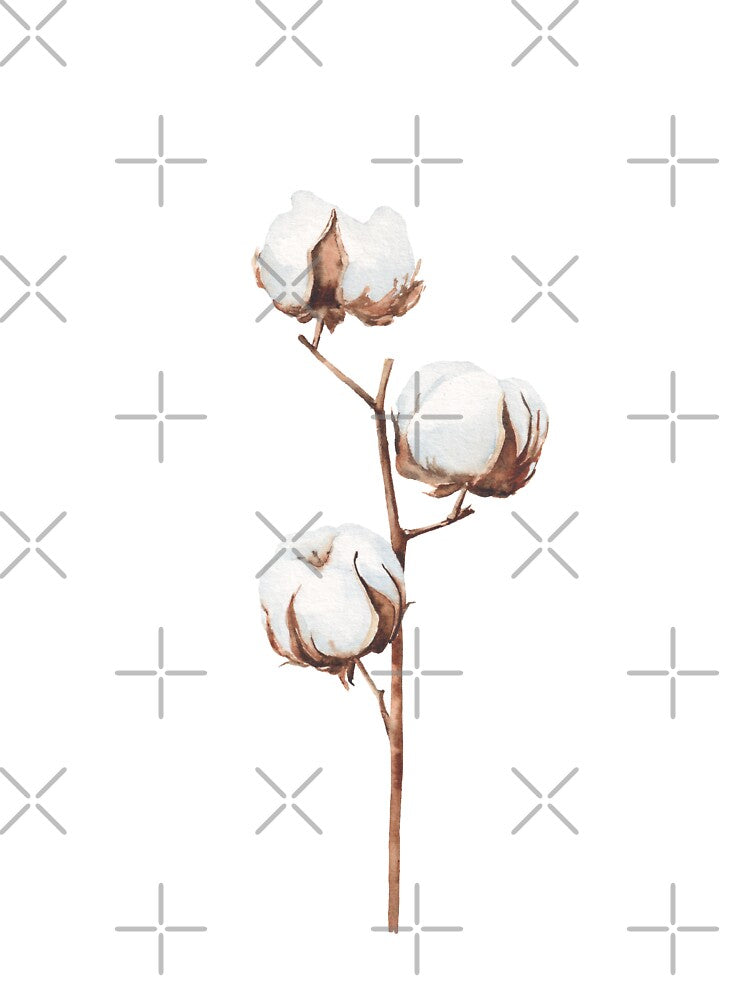 Cotton branch illustration by InnaPatiutko