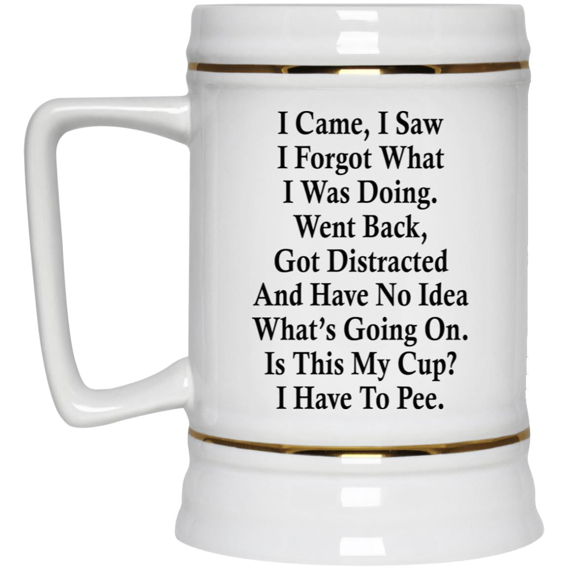 I Came I Saw I Forgot What I Was Doing Went Back Mug