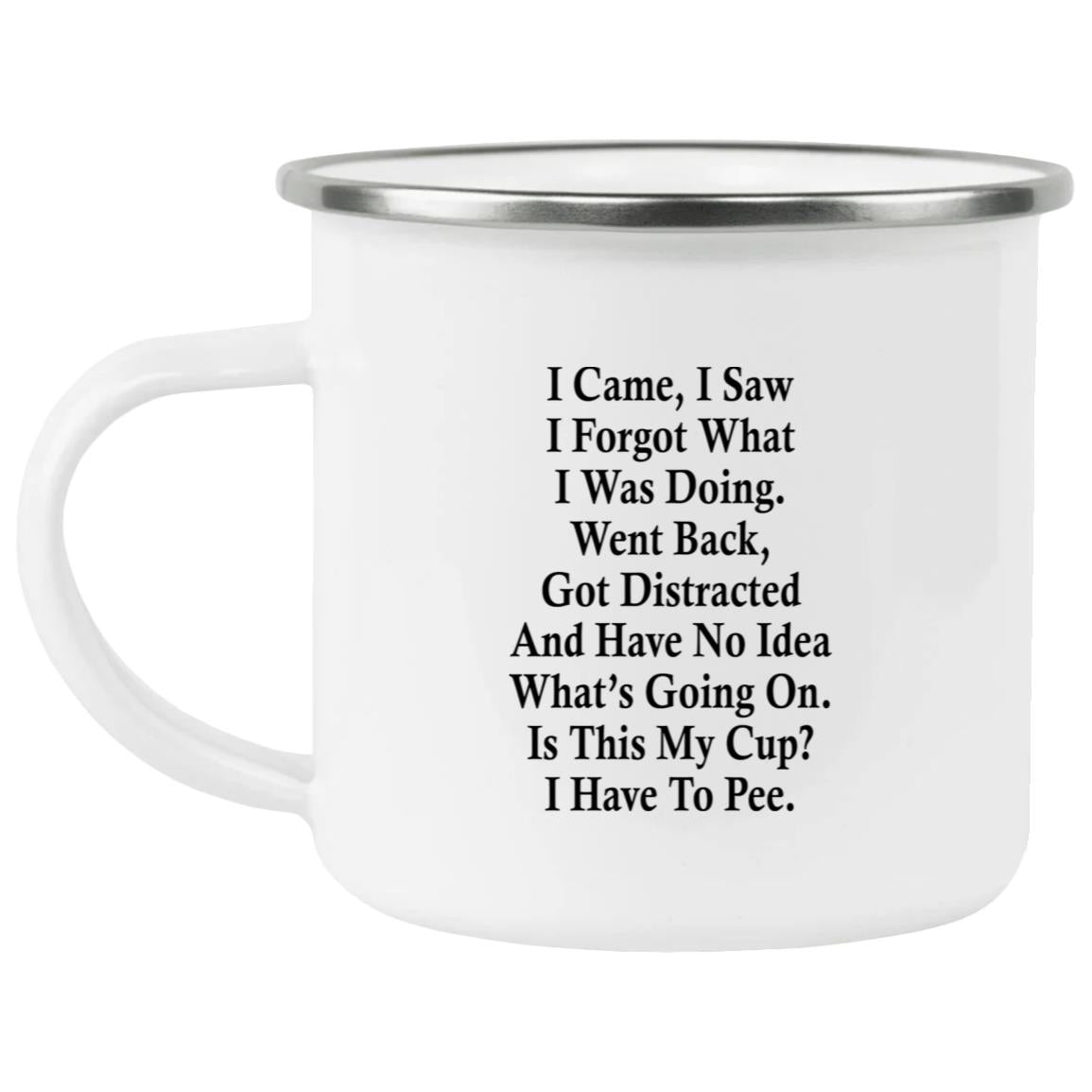I Came I Saw I Forgot What I Was Doing Went Back Mug