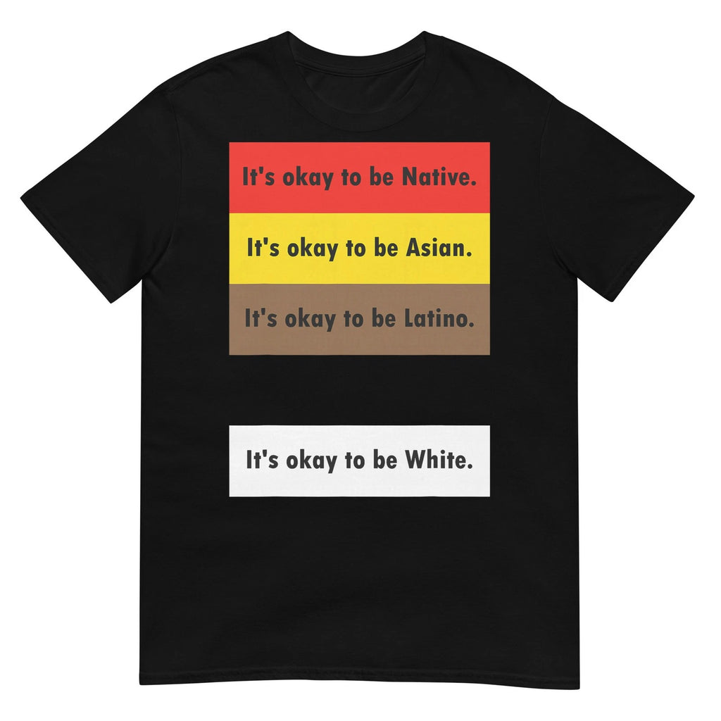 It's Okay to Be Native It's Okay to Be Asian It's Okay to Be T-Shirt