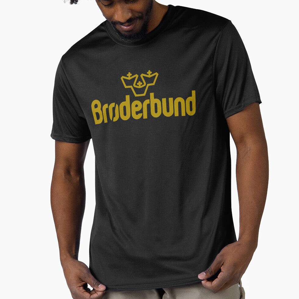 Vintage Broderbund Software Logo by meantime2001
