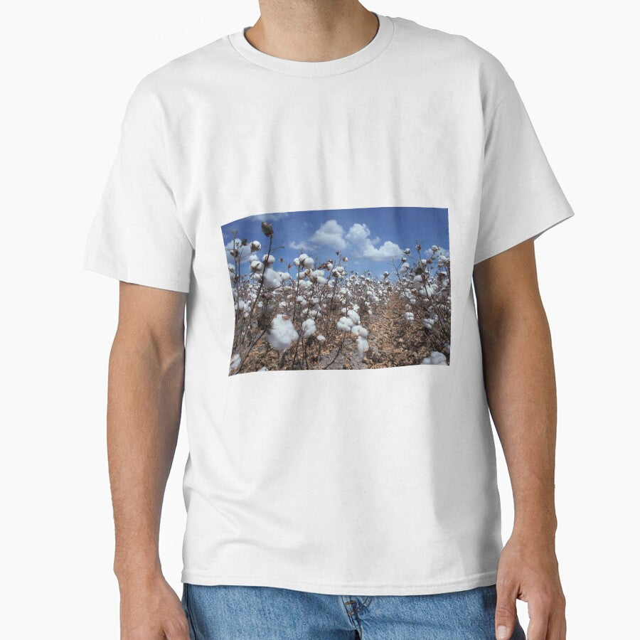 Cotton Field by BravuraMedia