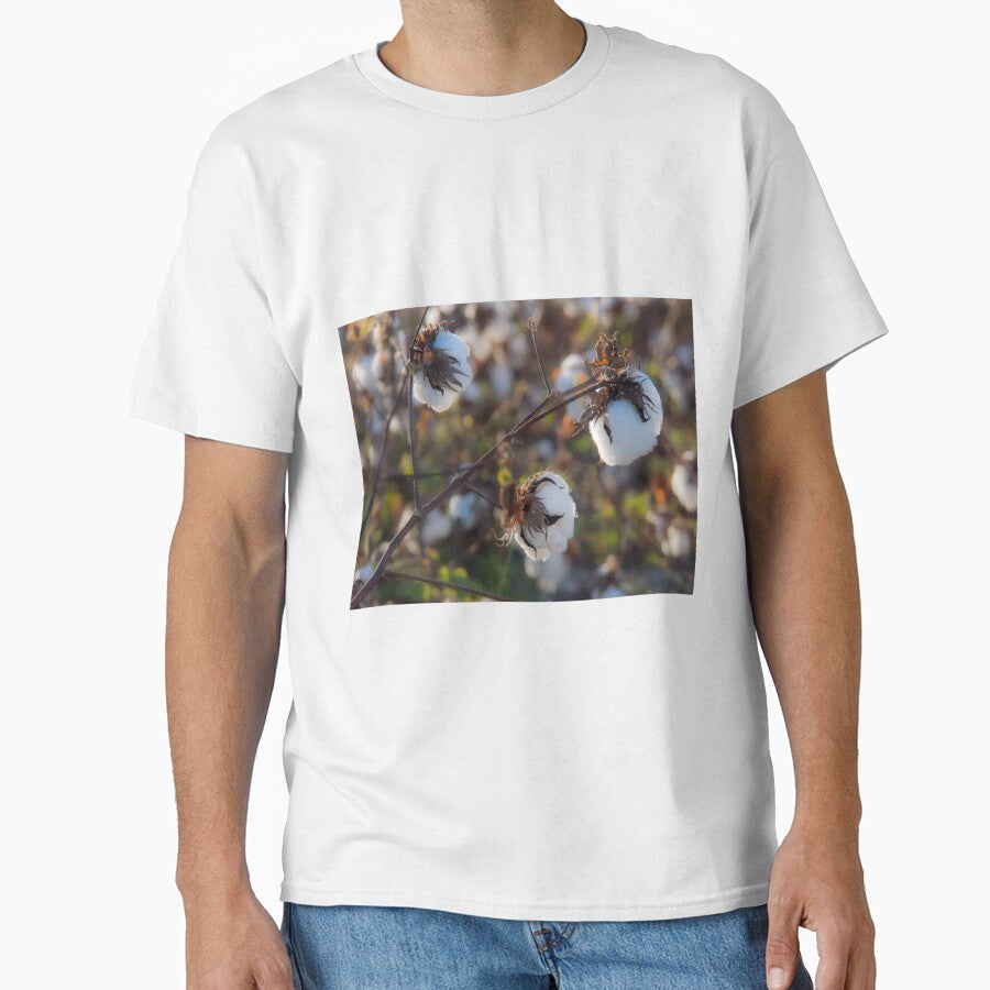 Cotton by Alla Gill
