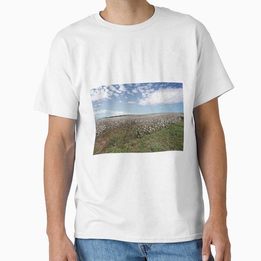 Alabama Cotton Fields by jtrommer