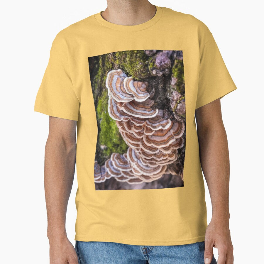 Turkey Tail Mushrooms by Fungal-Art