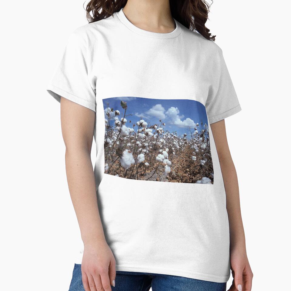 Cotton Field by BravuraMedia