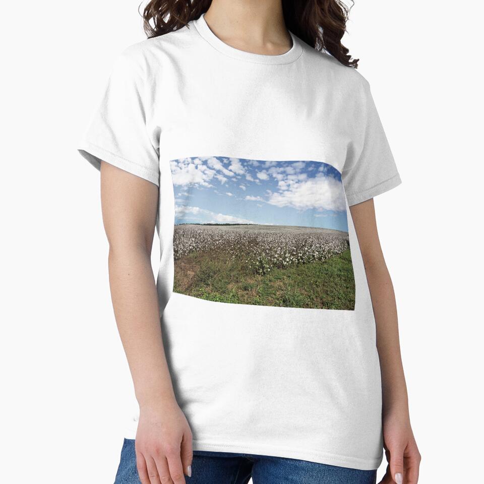 Alabama Cotton Fields by jtrommer