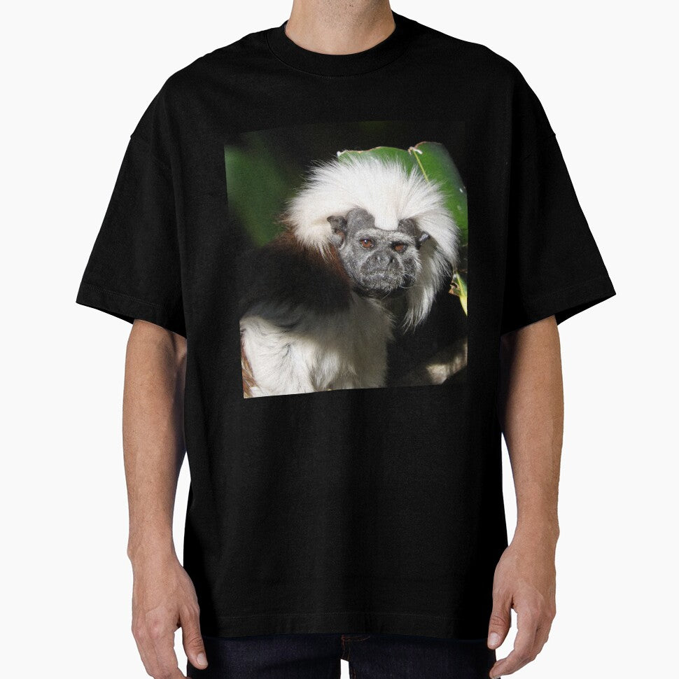 Cotton-top Tamarin by kirstybush